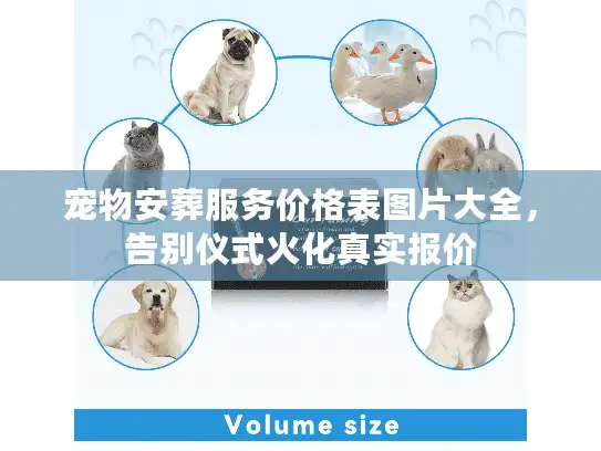 宠物安葬服务价格表图片大全，告别仪式火化真实报价