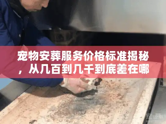 宠物安葬服务价格标准揭秘，从几百到几千到底差在哪？