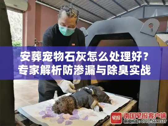 安葬宠物石灰怎么处理好？专家解析防渗漏与除臭实战