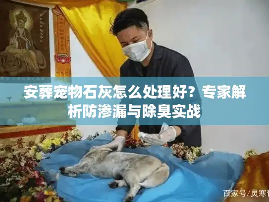 安葬宠物石灰怎么处理好？专家解析防渗漏与除臭实战