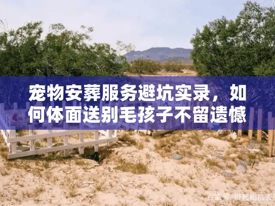 宠物安葬服务避坑实录，如何体面送别毛孩子不留遗憾？
