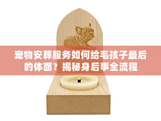 宠物安葬服务如何给毛孩子最后的体面？揭秘身后事全流程