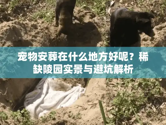 宠物安葬在什么地方好呢？稀缺陵园实景与避坑解析