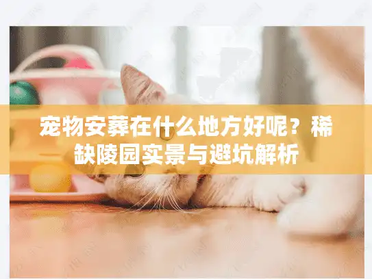 宠物安葬在什么地方好呢？稀缺陵园实景与避坑解析