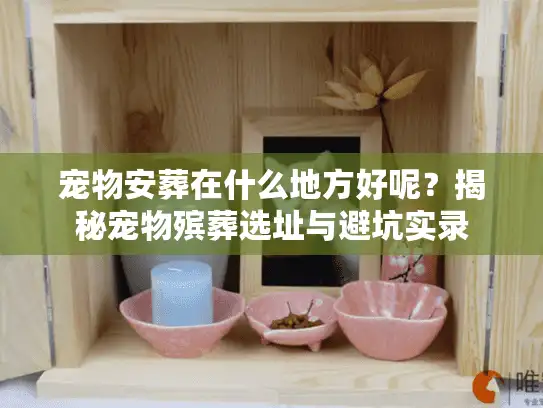 宠物安葬在什么地方好呢？揭秘宠物殡葬选址与避坑实录