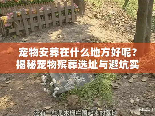 宠物安葬在什么地方好呢？揭秘宠物殡葬选址与避坑实录