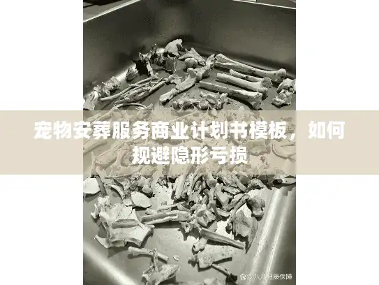 宠物安葬服务商业计划书模板，如何规避隐形亏损