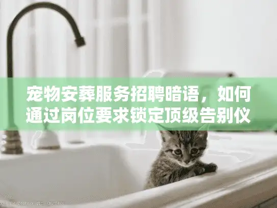 宠物安葬服务招聘暗语，如何通过岗位要求锁定顶级告别仪式