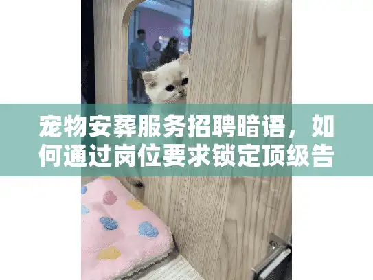 宠物安葬服务招聘暗语，如何通过岗位要求锁定顶级告别仪式