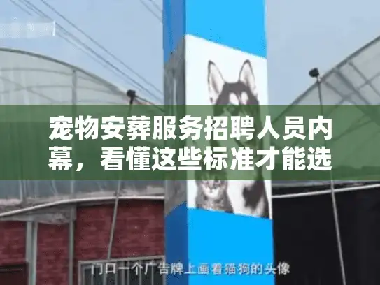 宠物安葬服务招聘人员内幕，看懂这些标准才能选对告别仪式