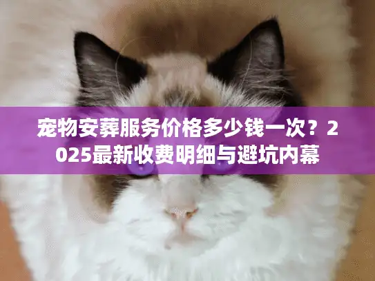 宠物安葬服务价格多少钱一次？2025最新收费明细与避坑内幕