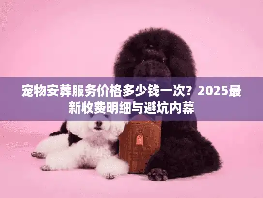宠物安葬服务价格多少钱一次？2025最新收费明细与避坑内幕