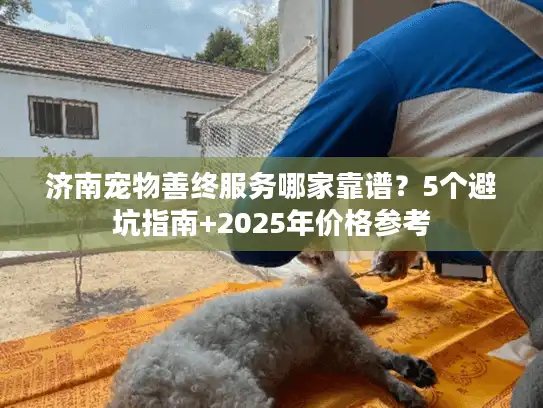 济南宠物善终服务哪家靠谱？5个避坑指南+2025年价格参考