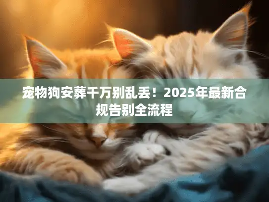 宠物狗安葬千万别乱丢！2025年最新合规告别全流程