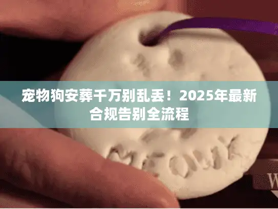 宠物狗安葬千万别乱丢！2025年最新合规告别全流程