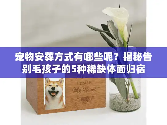 宠物安葬方式有哪些呢？揭秘告别毛孩子的5种稀缺体面归宿