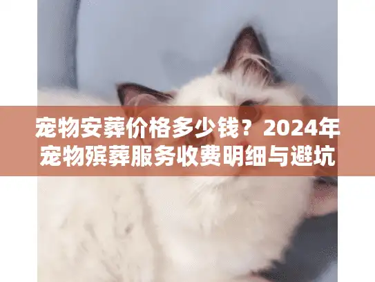 宠物安葬价格多少钱？2024年宠物殡葬服务收费明细与避坑真相