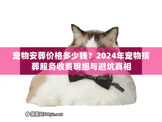 宠物安葬价格多少钱？2024年宠物殡葬服务收费明细与避坑真相