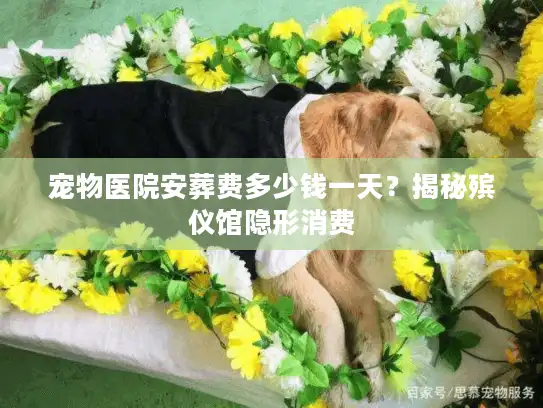 宠物医院安葬费多少钱一天？揭秘殡仪馆隐形消费