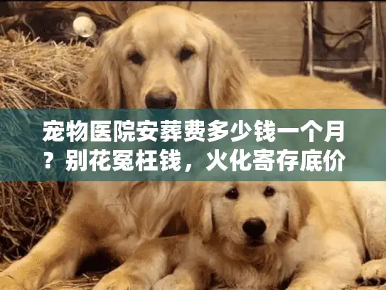 宠物医院安葬费多少钱一个月？别花冤枉钱，火化寄存底价大起底