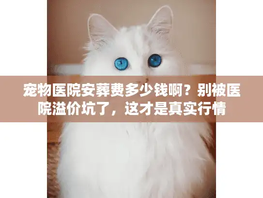 宠物医院安葬费多少钱啊？别被医院溢价坑了，这才是真实行情