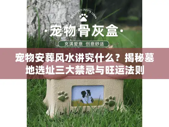宠物安葬风水讲究什么？揭秘墓地选址三大禁忌与旺运法则