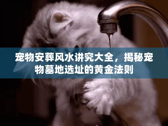 宠物安葬风水讲究大全，揭秘宠物墓地选址的黄金法则