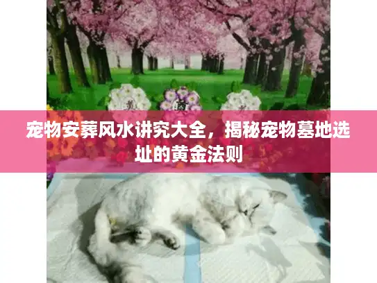 宠物安葬风水讲究大全，揭秘宠物墓地选址的黄金法则