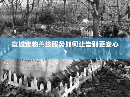 宣城宠物善终服务如何让告别更安心？