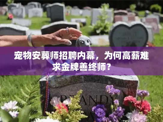 宠物安葬师招聘内幕，为何高薪难求金牌善终师？