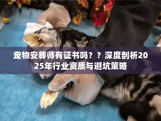 宠物安葬师有证书吗？？深度剖析2025年行业资质与避坑策略