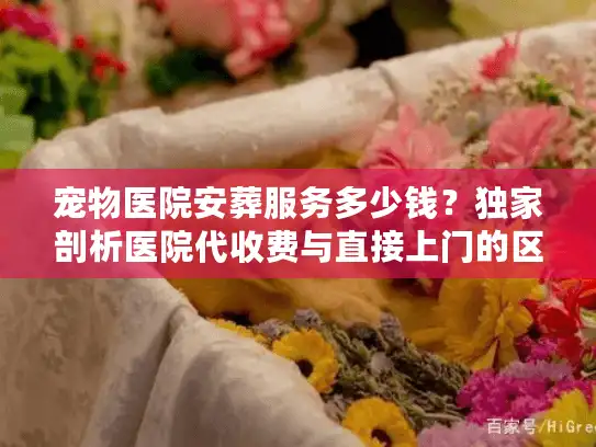 宠物医院安葬服务多少钱？独家剖析医院代收费与直接上门的区别