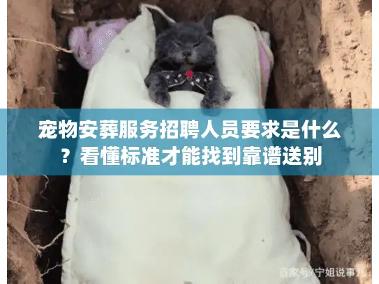 宠物安葬服务招聘人员要求是什么？看懂标准才能找到靠谱送别