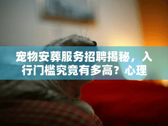 宠物安葬服务招聘揭秘，入行门槛究竟有多高？心理素质成硬指标
