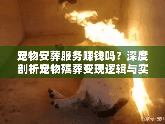 宠物安葬服务赚钱吗？深度剖析宠物殡葬变现逻辑与实战案例