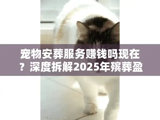 宠物安葬服务赚钱吗现在？深度拆解2025年殡葬盈利真相