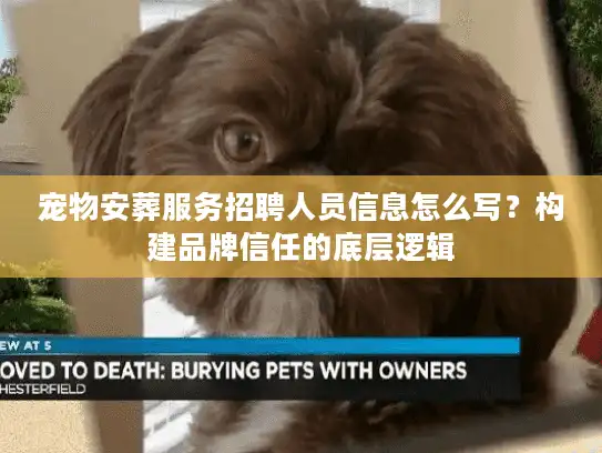 宠物安葬服务招聘人员信息怎么写？构建品牌信任的底层逻辑