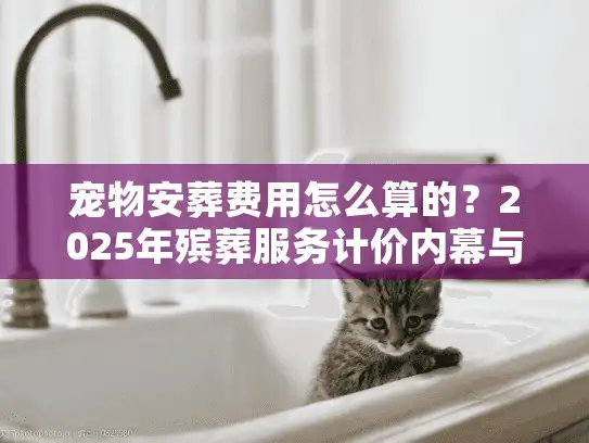 宠物安葬费用怎么算的？2025年殡葬服务计价内幕与避坑清单