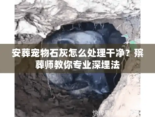 安葬宠物石灰怎么处理干净？殡葬师教你专业深埋法
