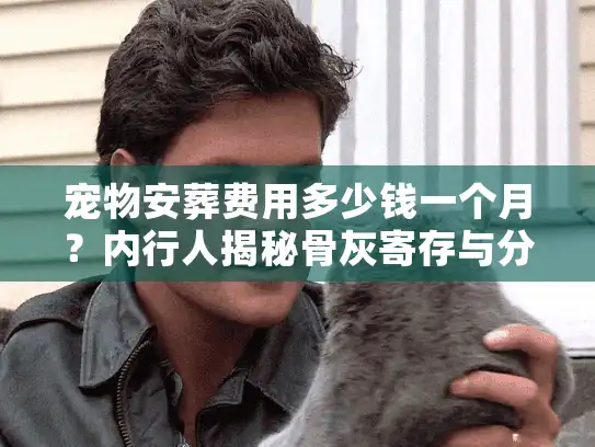 宠物安葬费用多少钱一个月？内行人揭秘骨灰寄存与分期付款内幕