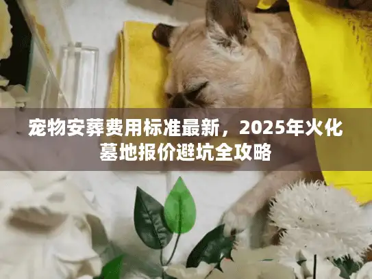 宠物安葬费用标准最新，2025年火化墓地报价避坑全攻略
