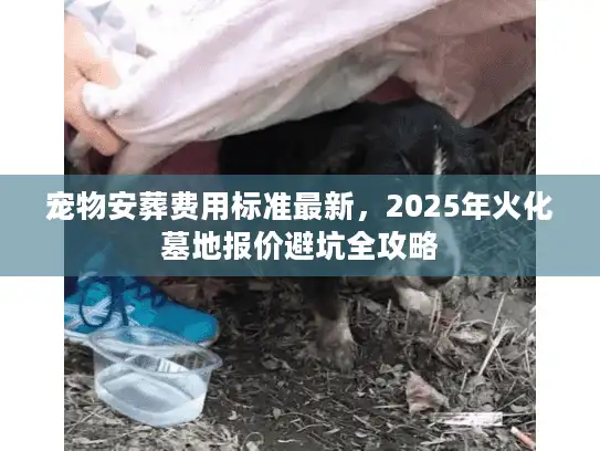 宠物安葬费用标准最新，2025年火化墓地报价避坑全攻略
