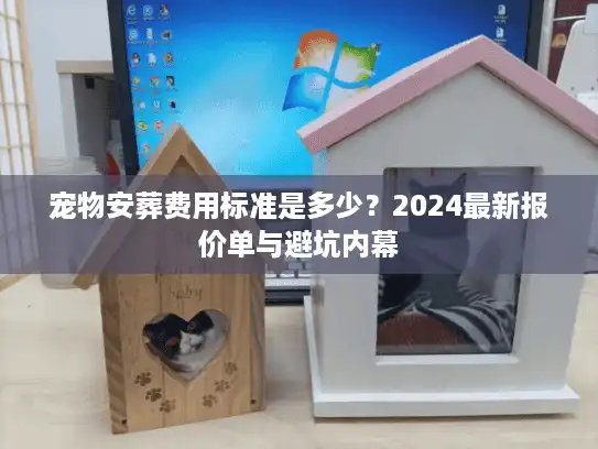 宠物安葬费用标准是多少？2024最新报价单与避坑内幕