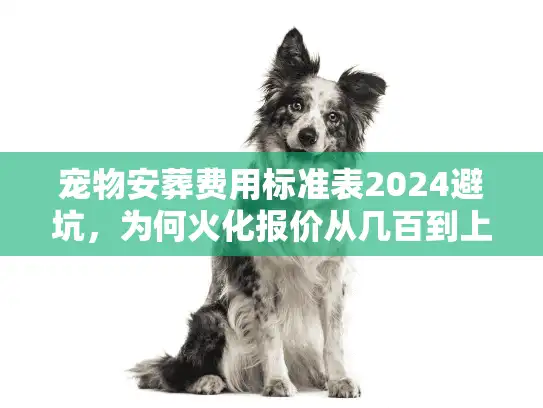 宠物安葬费用标准表2024避坑，为何火化报价从几百到上万差这么多？
