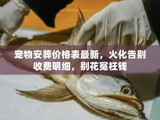 宠物安葬价格表最新，火化告别收费明细，别花冤枉钱
