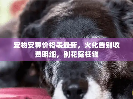 宠物安葬价格表最新，火化告别收费明细，别花冤枉钱