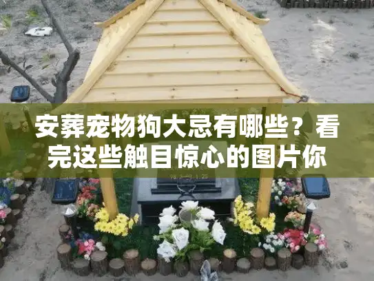 安葬宠物狗大忌有哪些？看完这些触目惊心的图片你就懂了