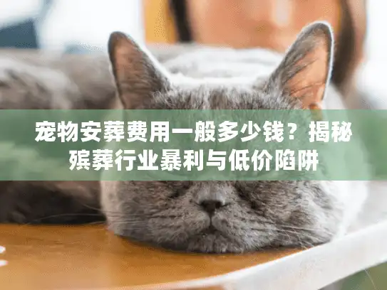 宠物安葬费用一般多少钱？揭秘殡葬行业暴利与低价陷阱