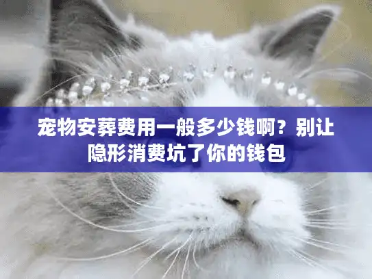 宠物安葬费用一般多少钱啊？别让隐形消费坑了你的钱包