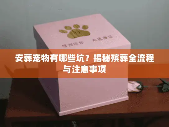 安葬宠物有哪些坑？揭秘殡葬全流程与注意事项